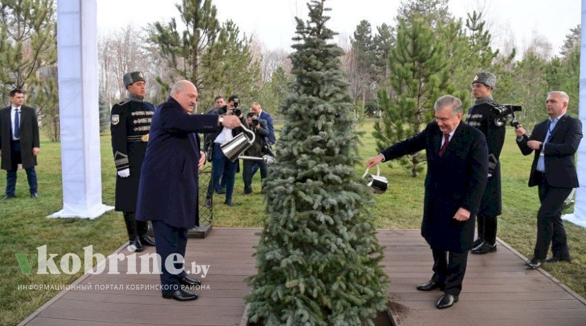 «Резервов для роста предостаточно». Лукашенко обозначил приоритеты в сотрудничестве с Узбекистаном