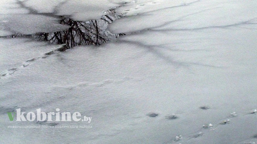 В Березовском районе утонул рыбак из Кобрина
