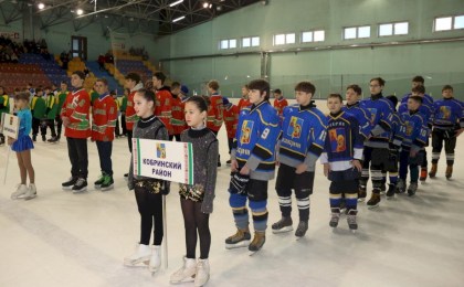 В Кобрине проходят областные соревнования по хоккею «Золотая шайба» 