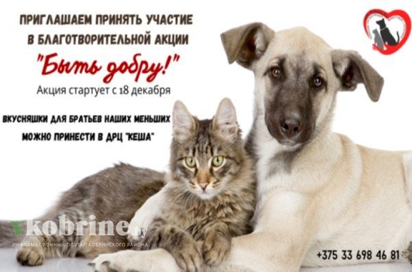 Дворец культуры, музей, ледовая арена... Афиша мероприятий в Кобрине