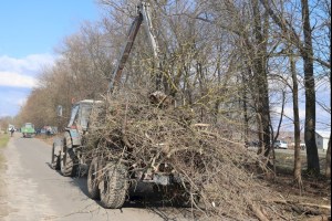Экологическая акция по наведению порядка на территории проходит в Кобрине