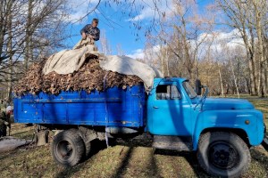 Экологическая акция по наведению порядка на территории проходит в Кобрине