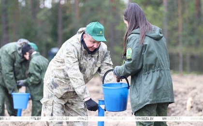 Шулейко об акции «Аднавім лясы разам!»: высаживаем качественные саженцы с хорошей приживаемостью