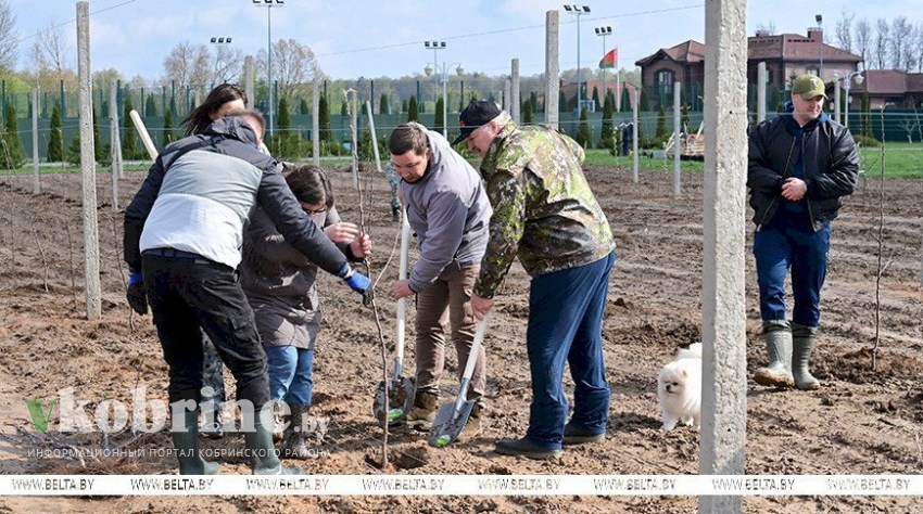 Встряска аграриев, подготовка к ВНС и яблоневый сад на малой родине. Подробности недели Президента