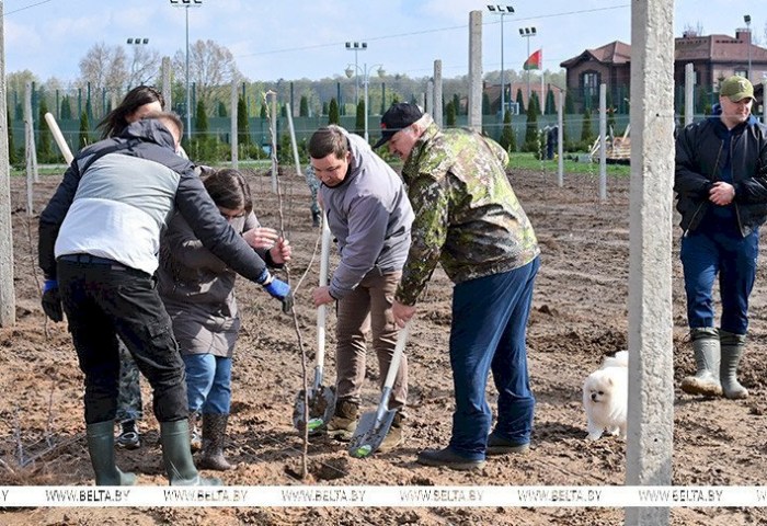 Встряска аграриев, подготовка к ВНС и яблоневый сад на малой родине. Подробности недели Президента