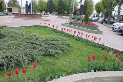 Где совесть? От рук вандалов пострадали клумбы в Кобрине на площади Ленина
