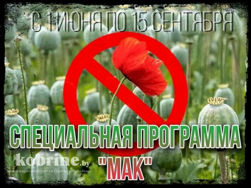 С 1 июня по 15 сентября сотрудниики Кобринского РОВД будут проводить специальную программу «Мак»