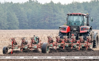 В Беларуси посеяли просо почти на 90% площадей
