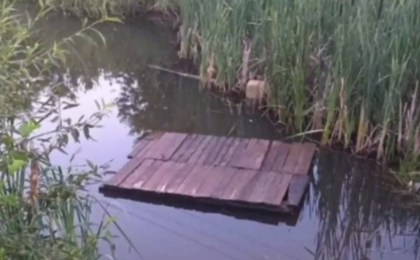 В Кобринском районе в искусственном водоеме утонул 9-летний мальчик