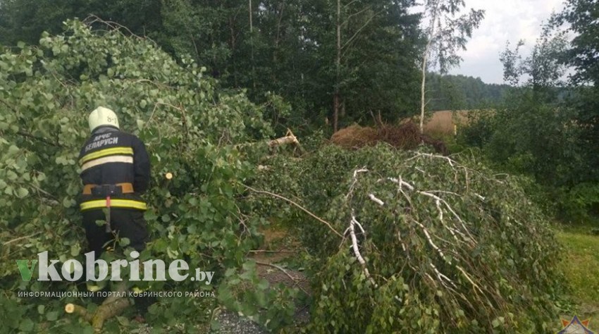 Жилые дома, здания АПК. Около 300 строений повреждено из-за непогоды в Брестской области