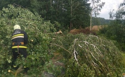 Жилые дома, здания АПК. Около 300 строений повреждено из-за непогоды в Брестской области