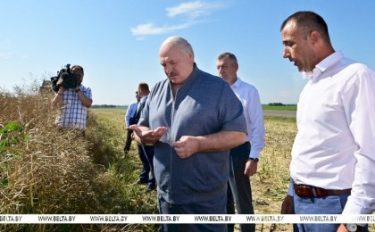 «Надо доводить до ума». Чем удивляет неидеальное хозяйство под Минском, которое посетил Лукашенко