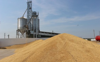 Госпромнадзор. Проведение уборочной кампании в Брестской области - 2024