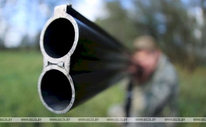 Сезон охоты на лося, оленя благородного и лань открылся в Беларуси