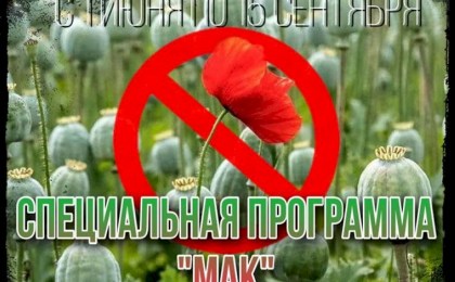 Подведены итоги специальной программы «Мак»