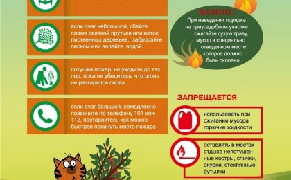 Из-за сухой погоды на Брестчине сохраняется высокая опасность возникновения пожаров