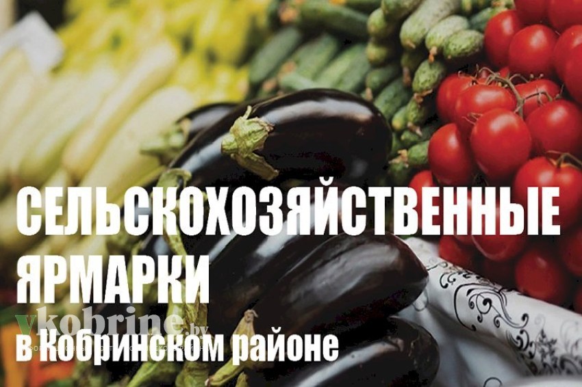 В Кобрине и районе начались сельскохозяйственные ярмарки 