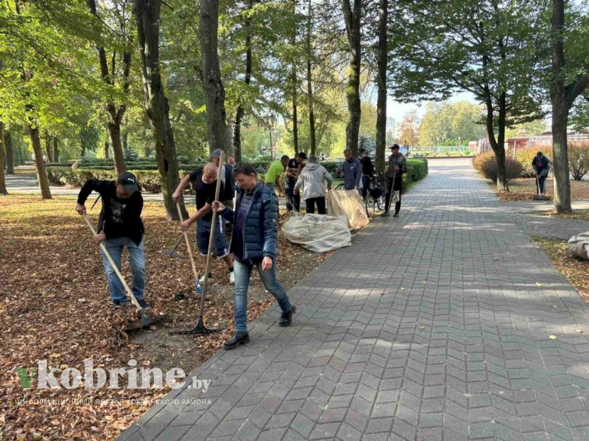 В «Чистый четверг» на Кобринщине потрудились неработающие граждане