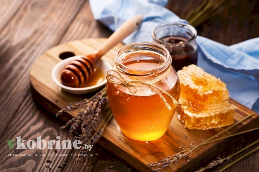 Как определить, настоящий мед или нет? 