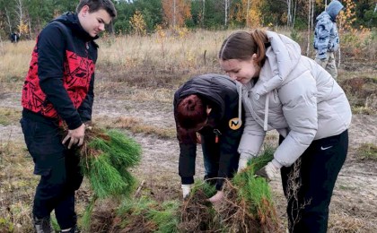 Ученики Батчинской средней школы высадили лес