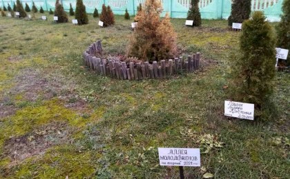 В Верхолесье появилась аллея молодоженов