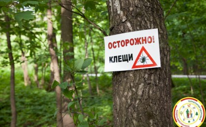 В Кобринском районе активизировались клещи