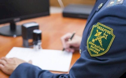 В Беларуси сведения, прилагаемые к таможенным документам, с 10 февраля можно будет передавать только через ОАИС