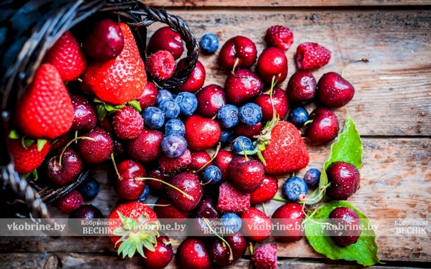 Врач назвал ягоду, которая замедляет процессы старения