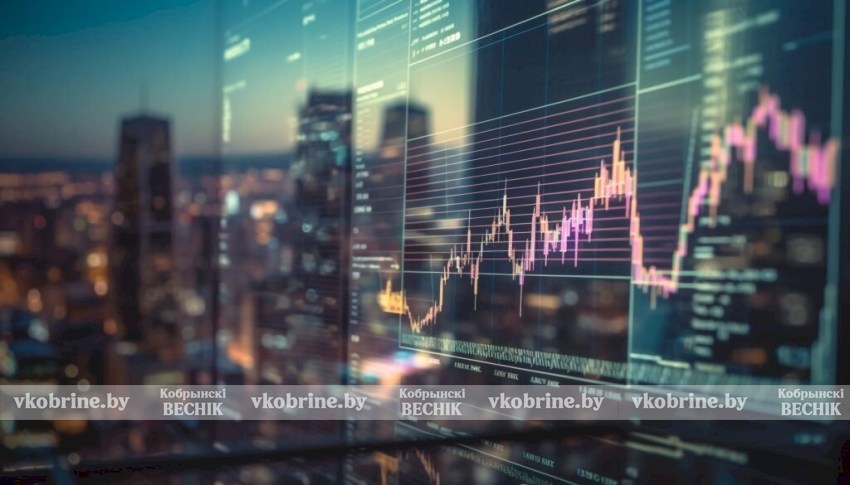 Инвестиции в Беларуси: куда идут деньги?