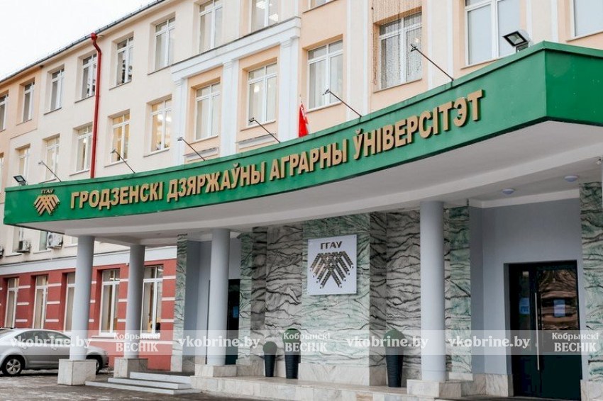 Сроки вступительной кампании, новые специальности, льготы - о чем еще могут спросить абитуриенты на горячей линии