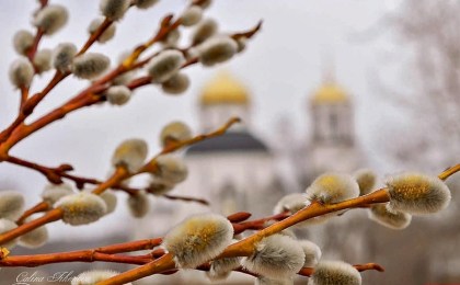 Православные верующие празднуют сегодня Вербное воскресенье
