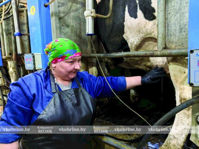 Лариса Осипук четверть века трудится на ферме и не жалеет о своем выборе