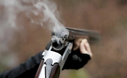 В Беларуси с 15 мая открывается сезон охоты на косулю - узнали нюансы и правила