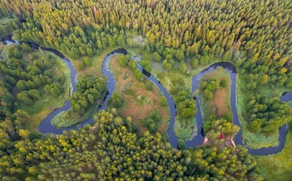 Цифра дня первого региона