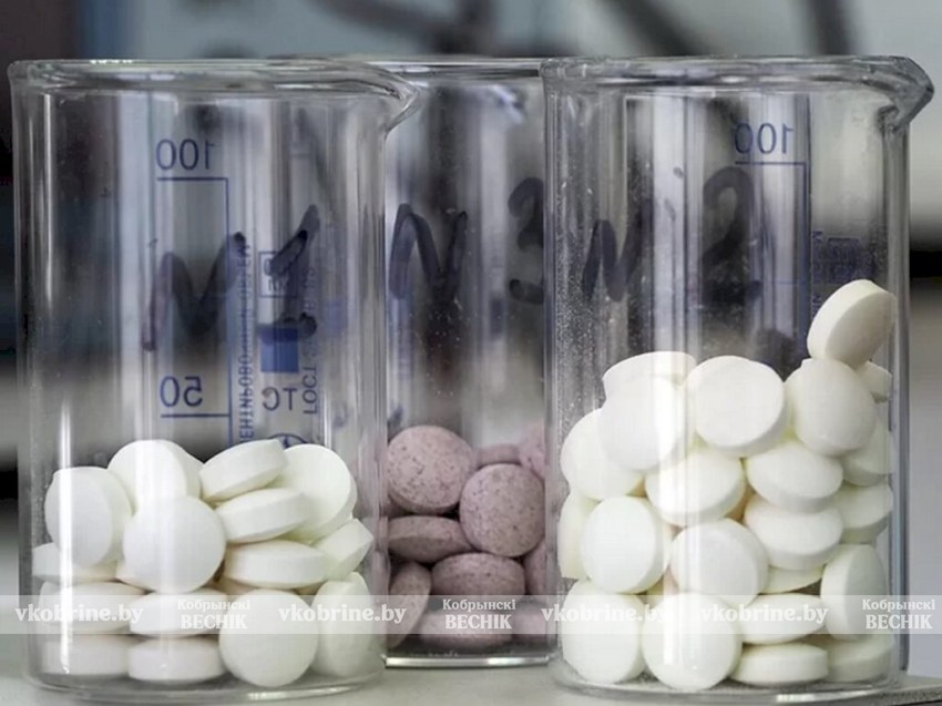 В Беларуси будут производить конфеты для ЗОЖников