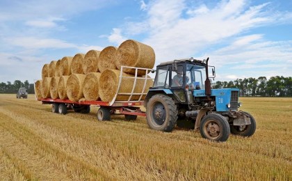 Заготовка грубых кормов в Кобринском районе на контроле у спасателей