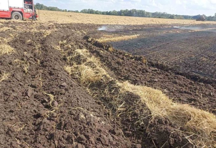 35 гектаров ярового ячменя спасли работники МЧС и хозяйства на пожаре в Кобринском районе