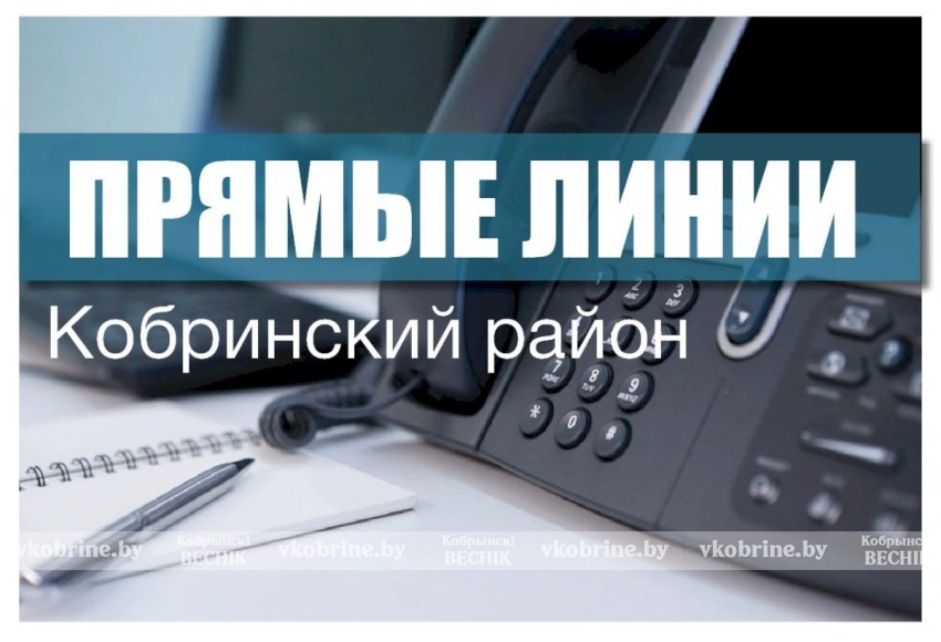 Вопросы о предпринимательской деятельности можно будет задать 20 августа представителю Кобринского райисполкома