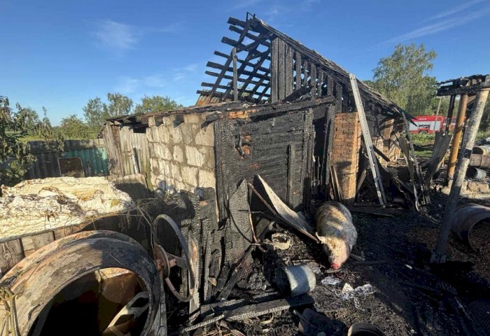2 пожара в Кобринском районе - горел дом в Андроново и хозяйственное строение в деревне Именин