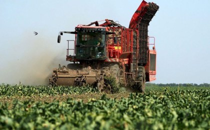 В стране началась уборка сахарной свеклы: урожайность на 57 ц/га выше прошлогодней
