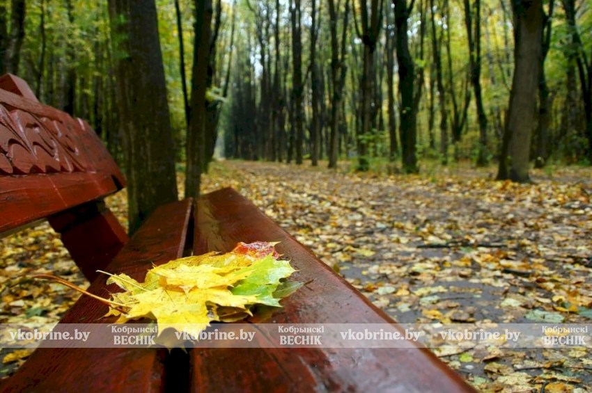 Осень вступает в права: прогноз погоды в Беларуси с 15 по 21 сентября