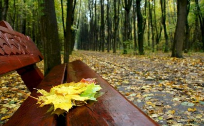 Осень вступает в права: прогноз погоды в Беларуси с 15 по 21 сентября