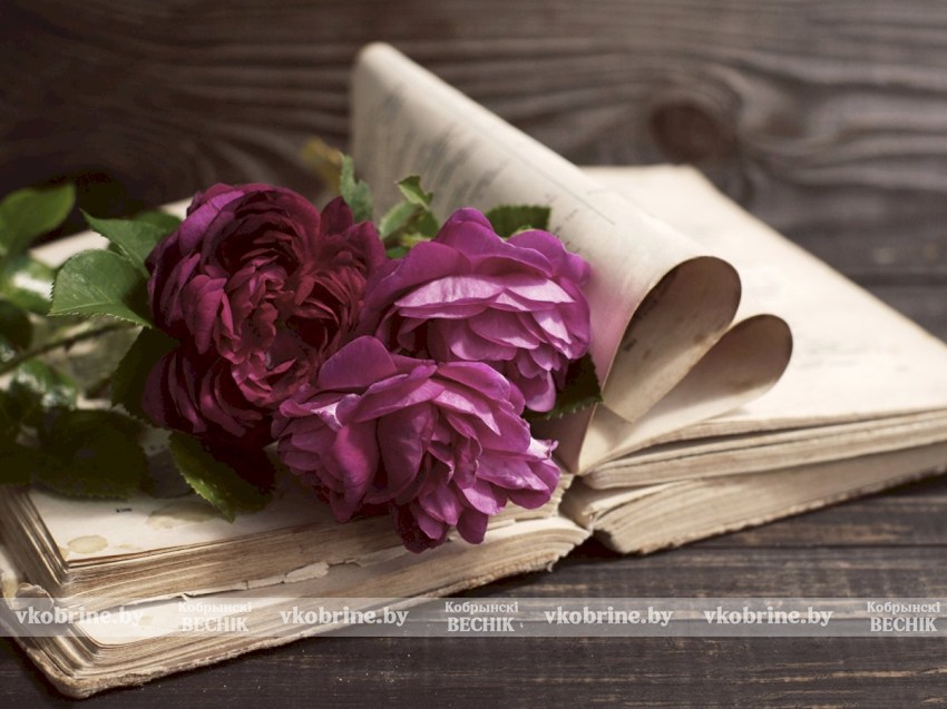 5 книг, которые стоит прочитать до 30 лет