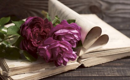 5 книг, которые стоит прочитать до 30 лет