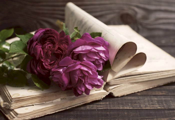 5 книг, которые стоит прочитать до 30 лет