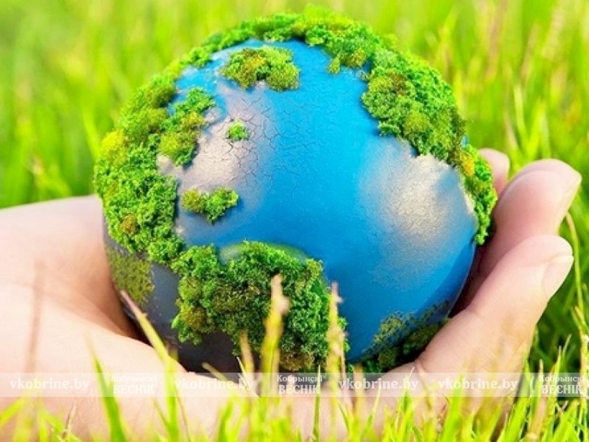 Экологически ответственное общество - как в Беларуси реализуется государственная политика в области обращения с отходами