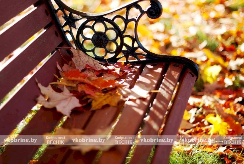 Золотая осень в Беларуси: октябрь порадует теплом и дождями