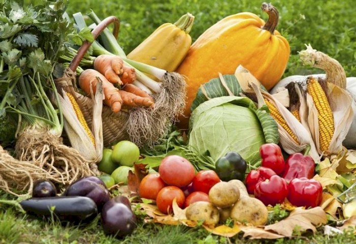 Осень не приговор. Как продлить урожайный сезон до первых холодов