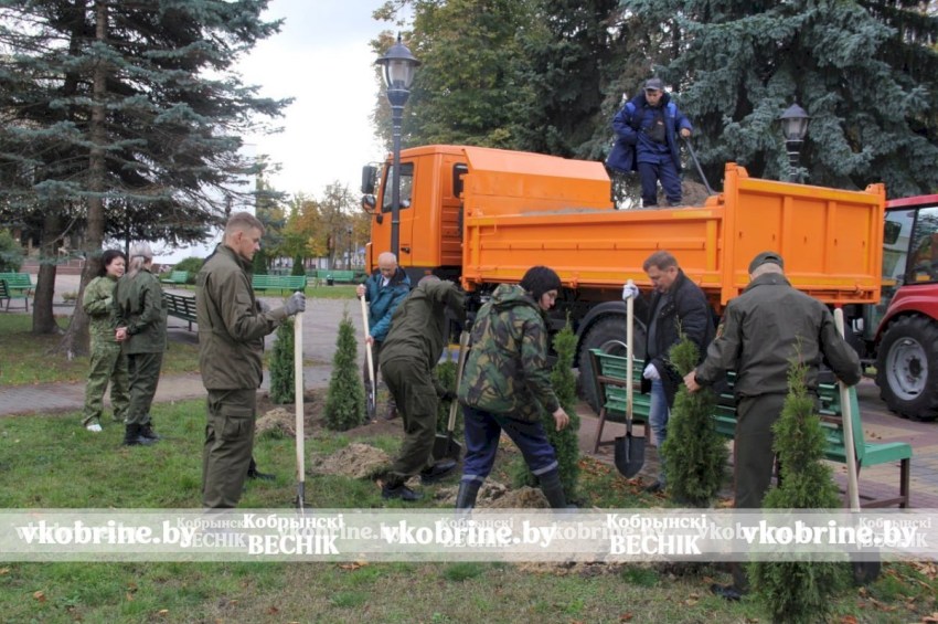 В Кобрине прошла республиканская акция «Единый день озеленения» - высажено почти 900 деревьев и кустарников