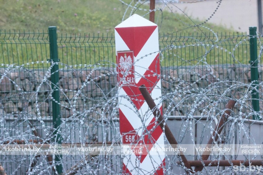 Перевозчики Польши потребовали от правительства немедленно урегулировать ситуацию на границе с Беларусью